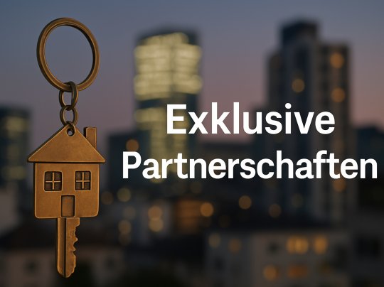 Onlineshop Partnerschaft